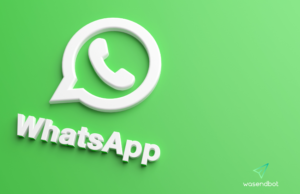 La API de WhatsApp Business y sus ventajas en el WhatsApp Marketing